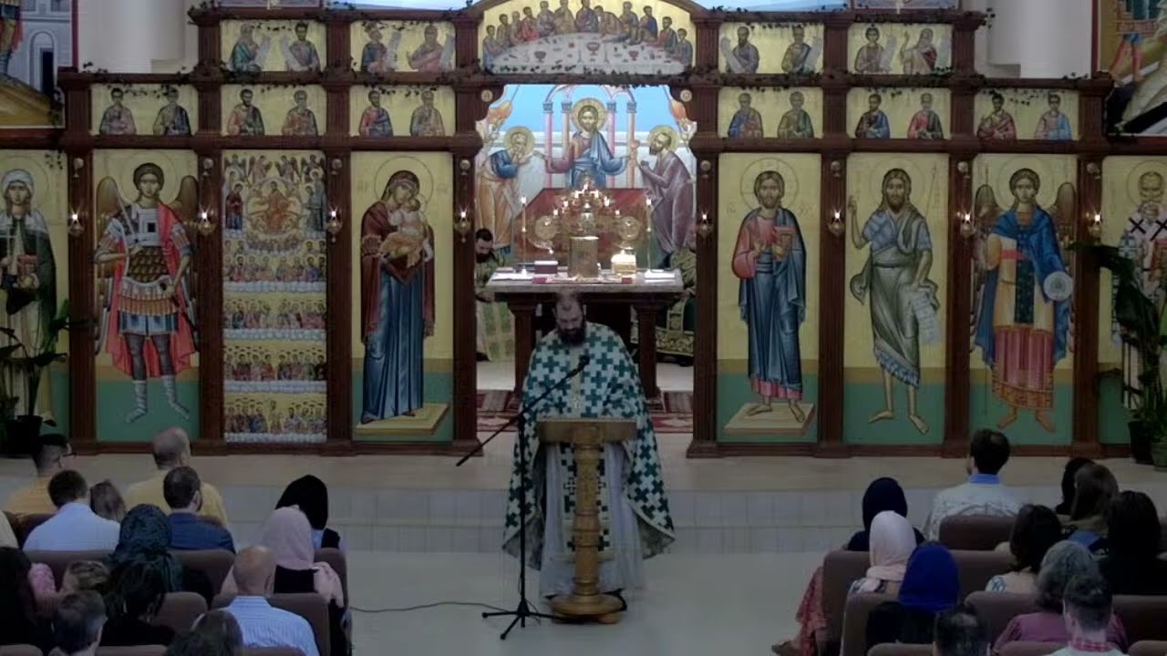 Отец Эндрю Стивен Дамик об антиохийцах — 22.06.2025