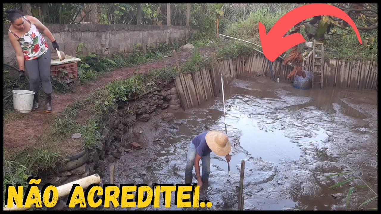 Sequei Meu POÇO para tirar as TILAPIAS #sustentabilidade @TILAPIA Minha Vida !