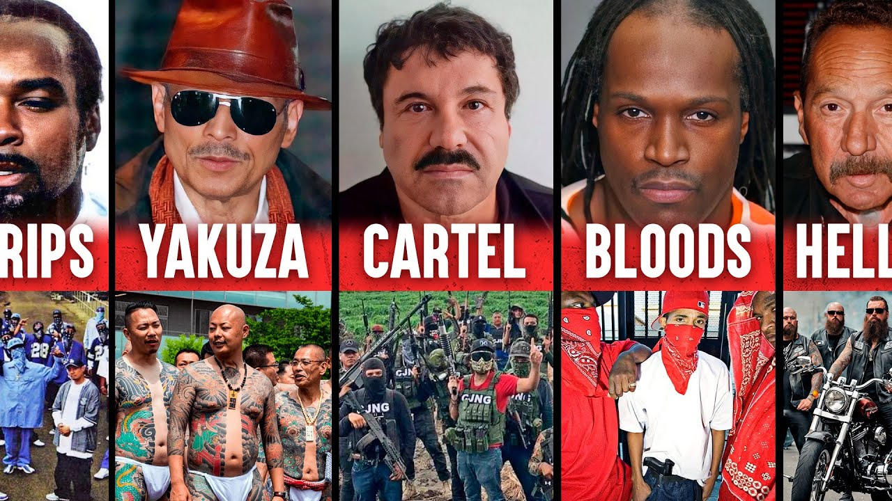 Voici les 6 gangs les plus dangereux au monde
