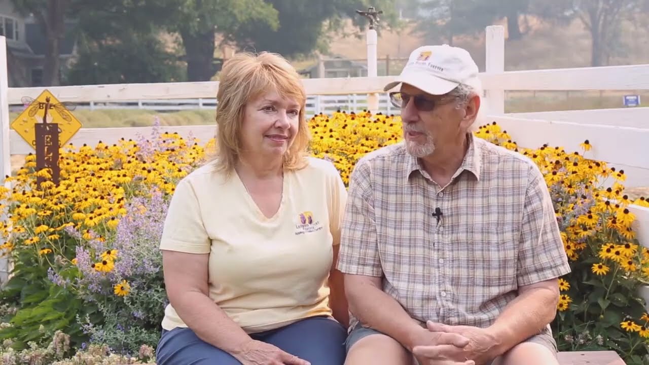 The healing plants channel, proudly presents, The secrets of medicinal plants, lanvada is one of the