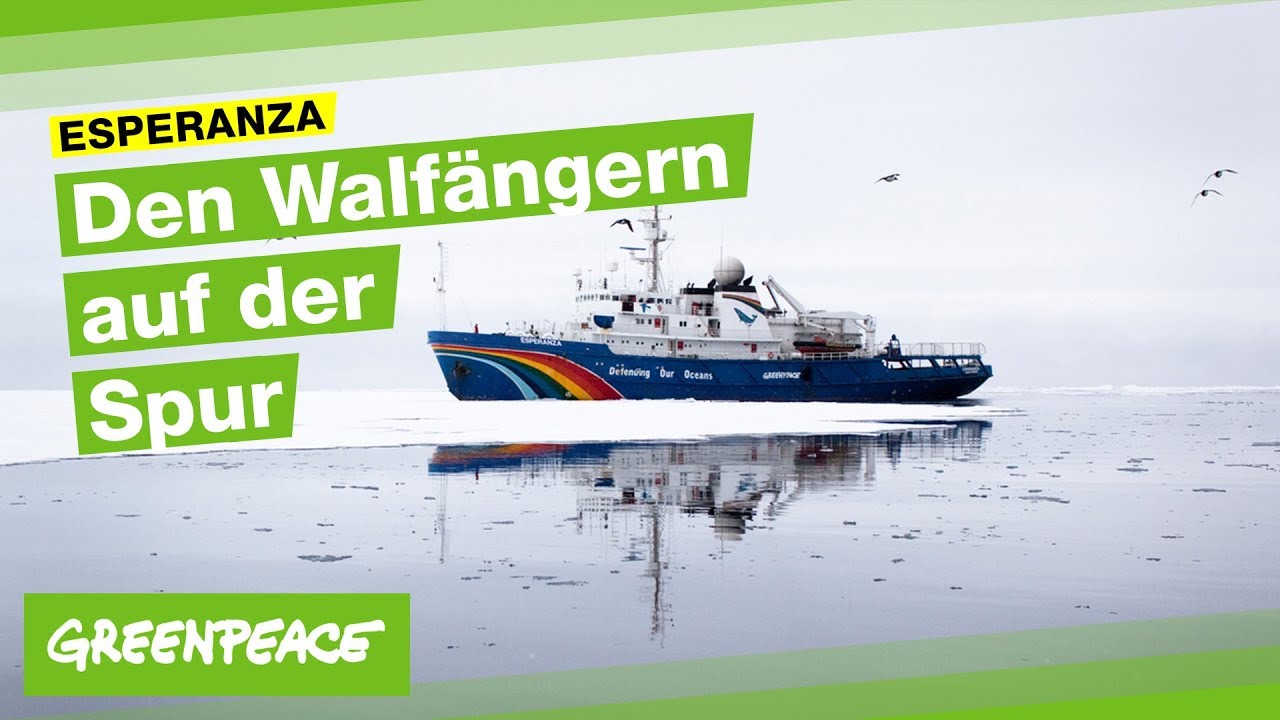 Jagdzeit - den Walfängern auf der Spur