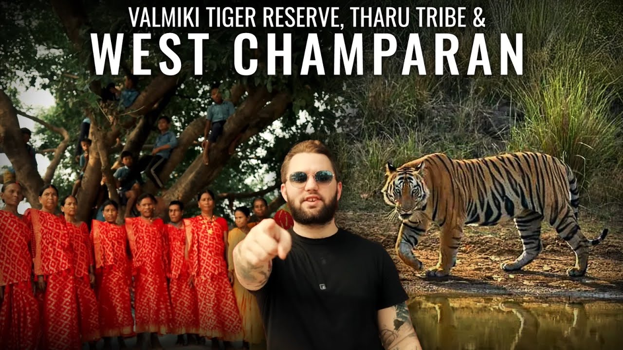 A HINDI Speaking AMERICAN Explores Valmiki Tiger Reserve, Motihari & Champaran | Dil Se Bihari E4