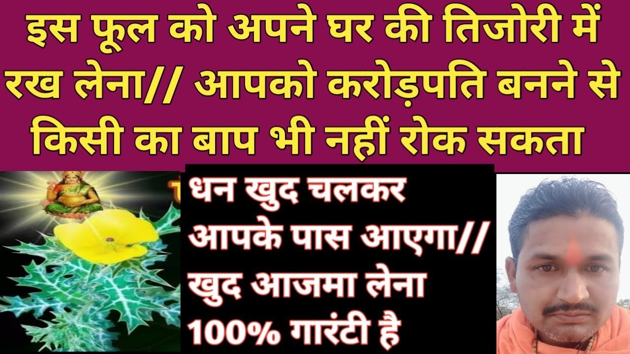 इस फूल को अपनी तिजोरी में रख लेना// आपको करोड़पति बनने से किसी का बाप भी नहीं रोक सकता 