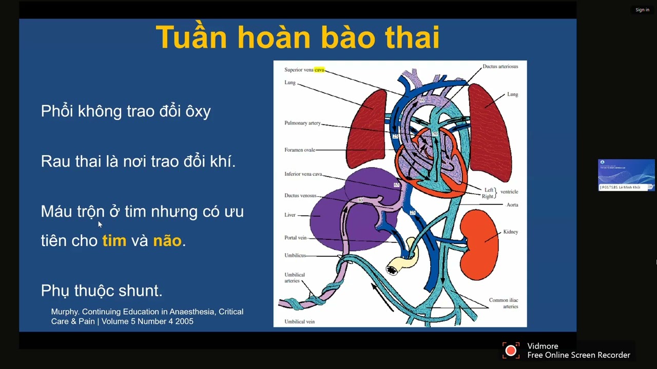 Tuần hoàn bào thai và Tuần hoàn chuyển tiếp | PGS. TS. BS. Lê Minh Khôi