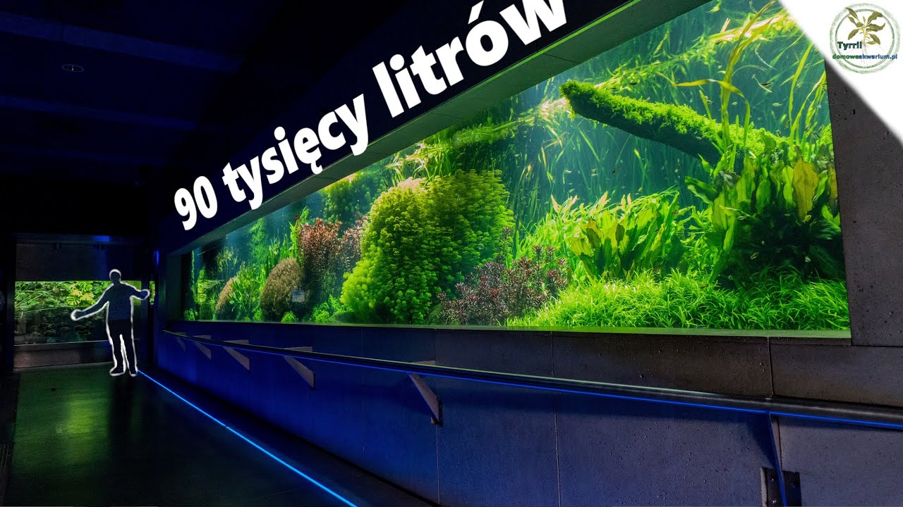 Jeden z najdłuższych zbiorników w Europie. Akwaria warszawskiego Zoo, również od zaplecza.