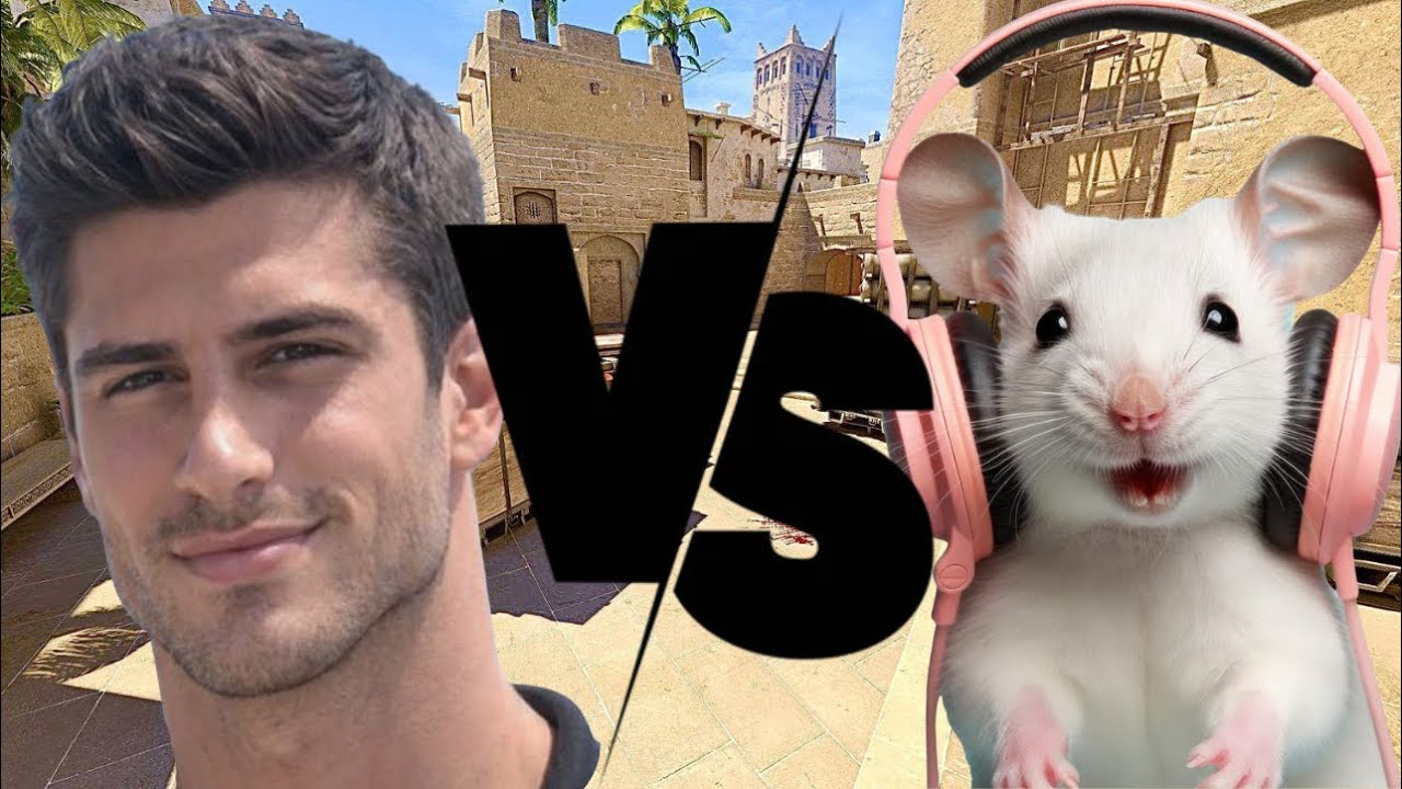 VECTOR VS VIEWER