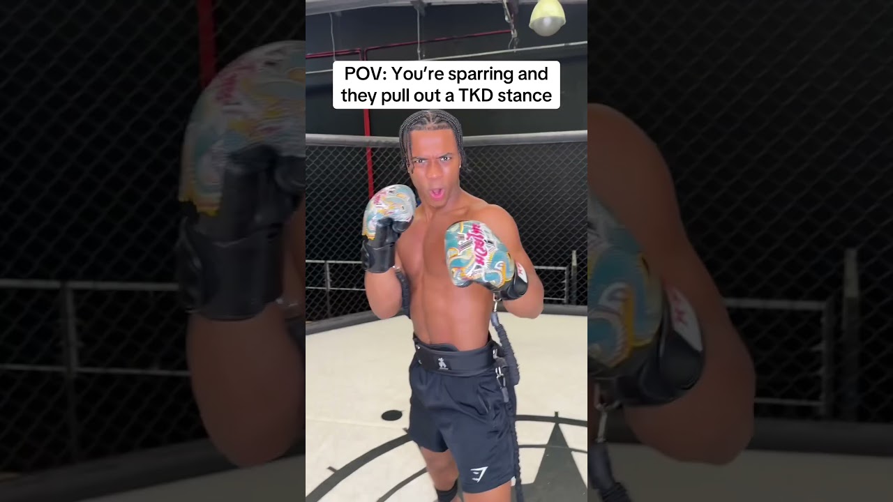 POV: You&rsquo;re sparring and they pull out the TKD stance