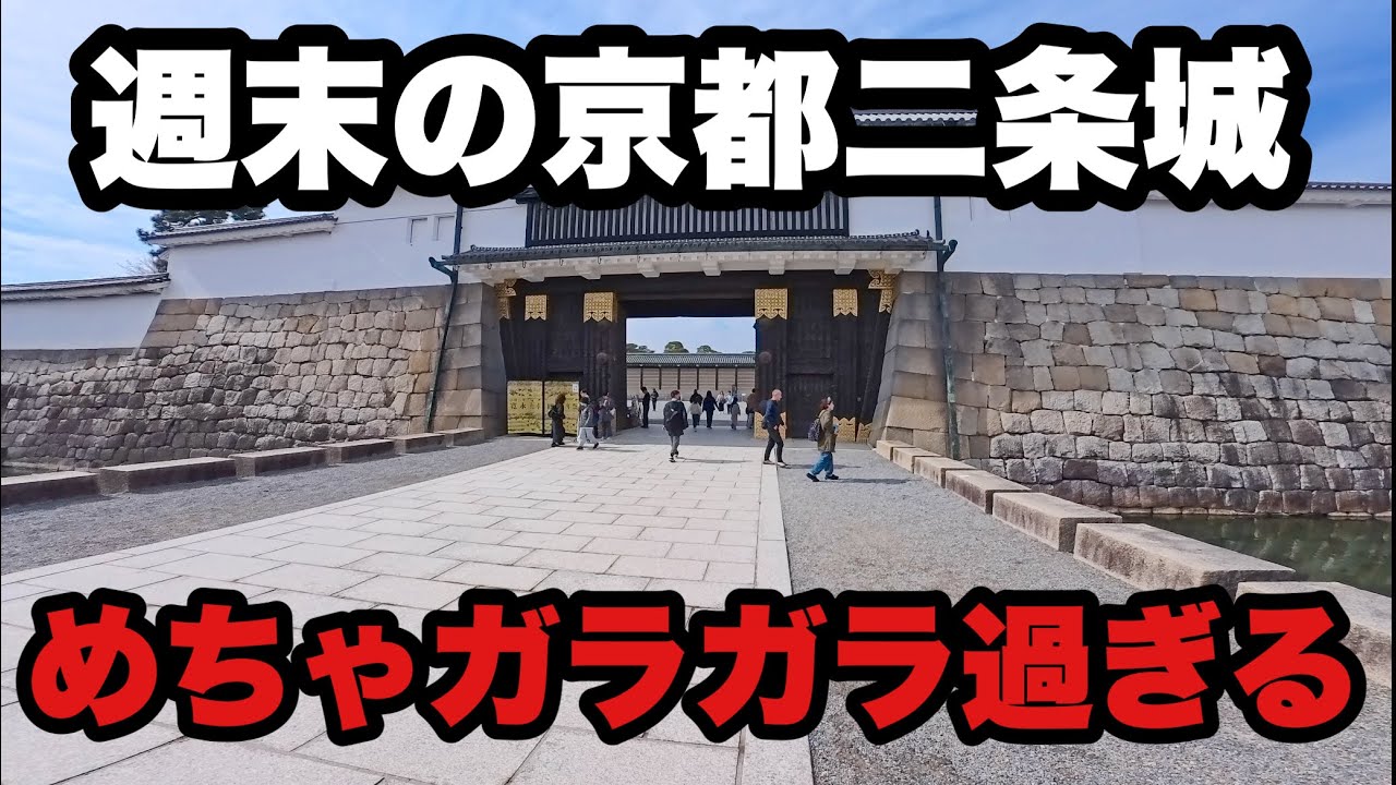 【4K】2026年2月14日（土）週末の京都二条城、めちゃガラガラ過ぎる！