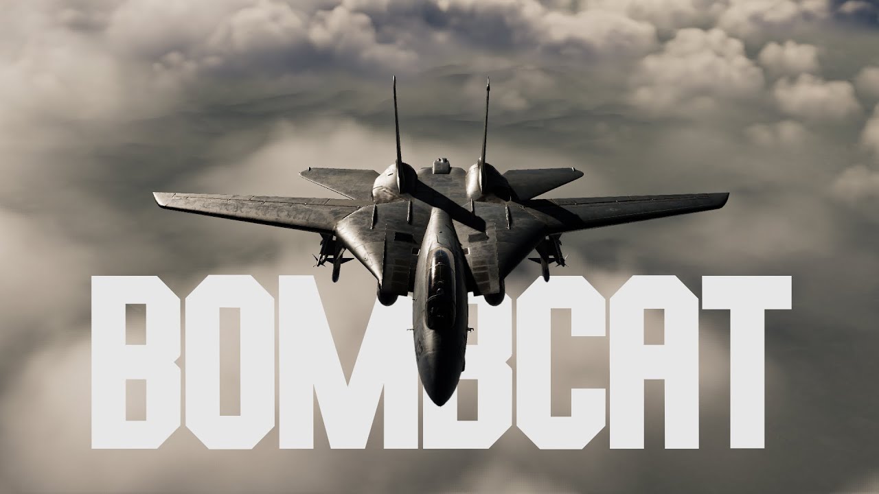 BOMBCAT | DCS: F-14B