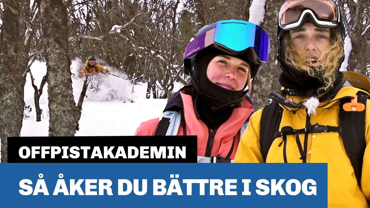 Så åker du skidor offpist i skog