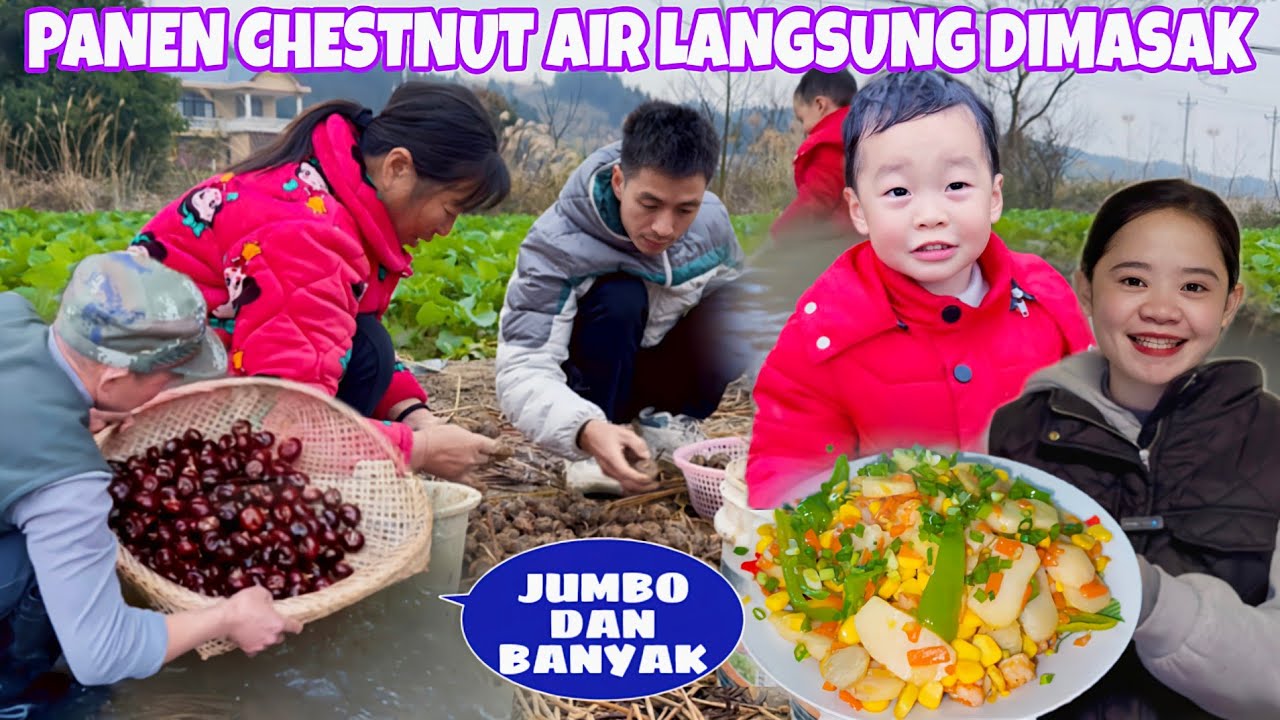 SUAMIKU PERTAMA KALI MASAK CHESTNUT AIR, SAAT MAKAN MAMA JADI DAPAT MENU IDE BARU UNTUK PESTA NANTI