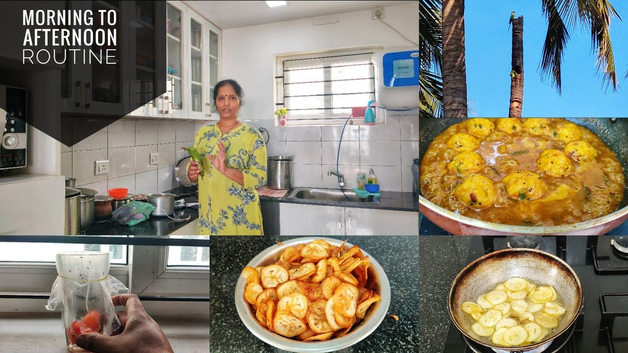 Morning to afternoon routine vlog/வீட்டில் உள்ள சின்ன ஈக்களை அழிக்க எளிய வழி