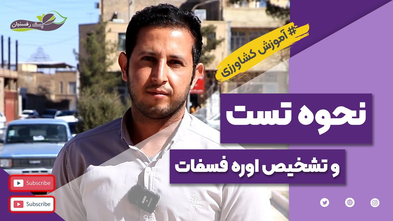 نحوه تست و تشخیص اوره فسفات-How to test and diagnose urea phosphate