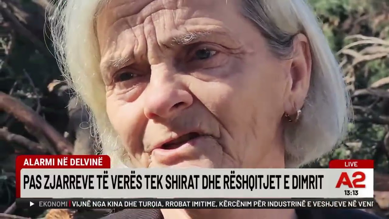 Berisha bën bilancin, Policia mbush qelitë me demokratë të arrestuar