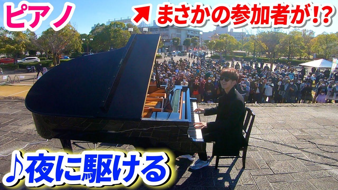 野外のピアノコンサートに飛んでた鳥まで参加してきた件【♪夜に駆ける/YOASOBI】