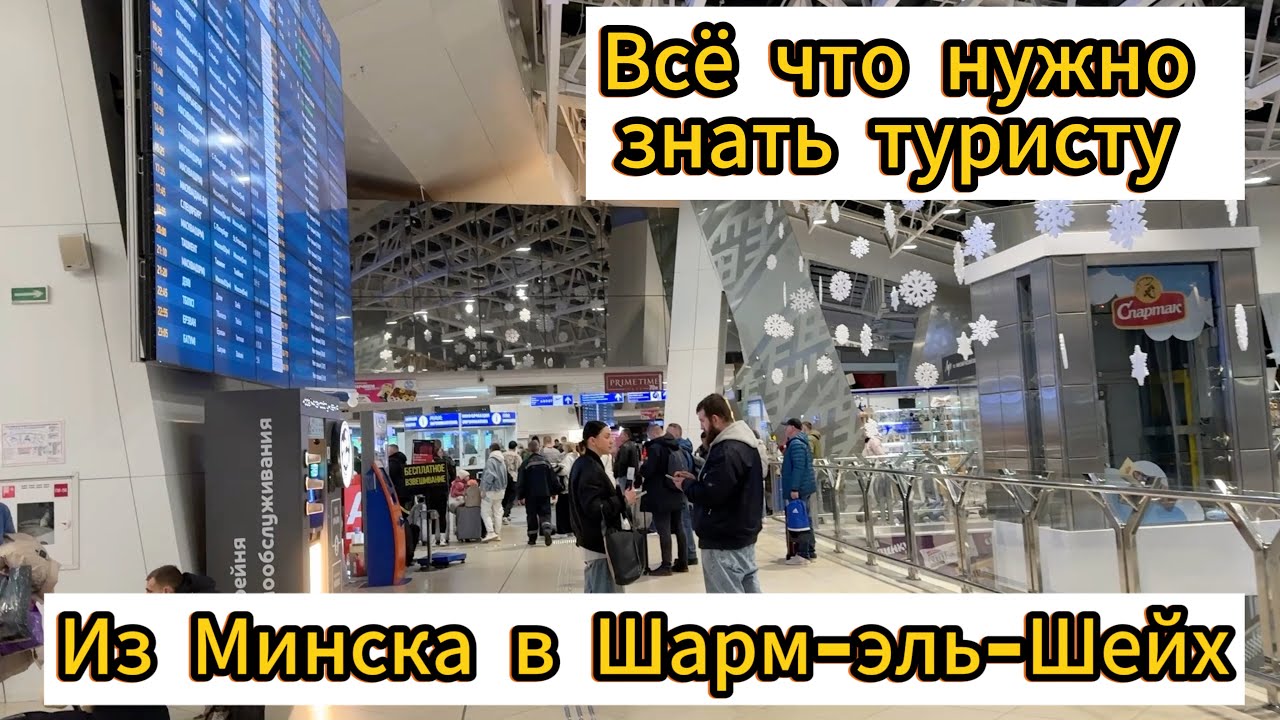 Перелет из Минска в Египет / как не попасть на штраф / что нужно делать в аэропорту Шарм-эль-Шейха