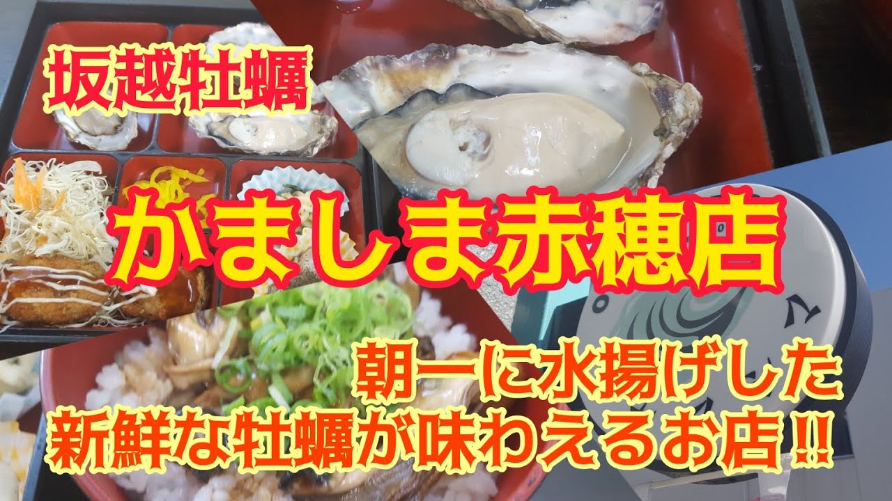 かましま 赤穂店/朝一に水揚げした新鮮な牡蠣をオールシーズン味わえるお店/赤穂城巡り【千ちゃんvlog】