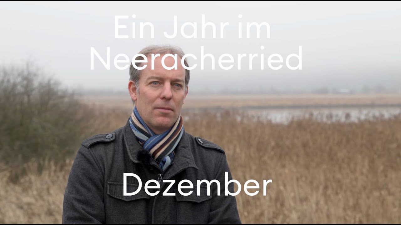 Dezember im Neeracherried: Lösungen für die Biodiversität