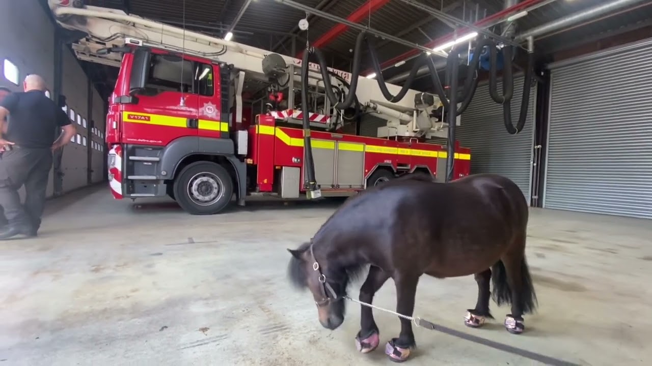 Torquay Fire Station 🚒