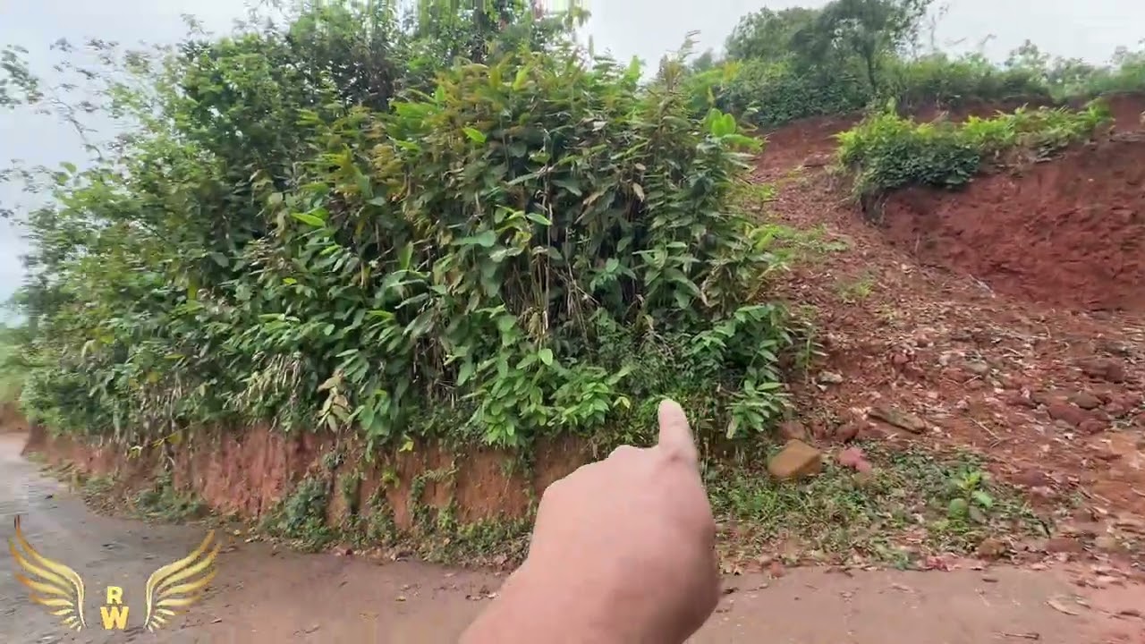  land for sale kakkadampoil 9961622220