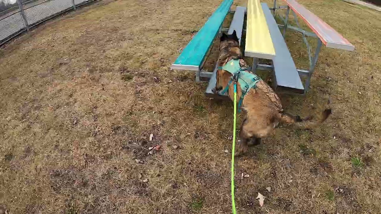 1/2/24 Dale Sourcing Single Hide on Bleachers @ Bicentennial Park Livonia