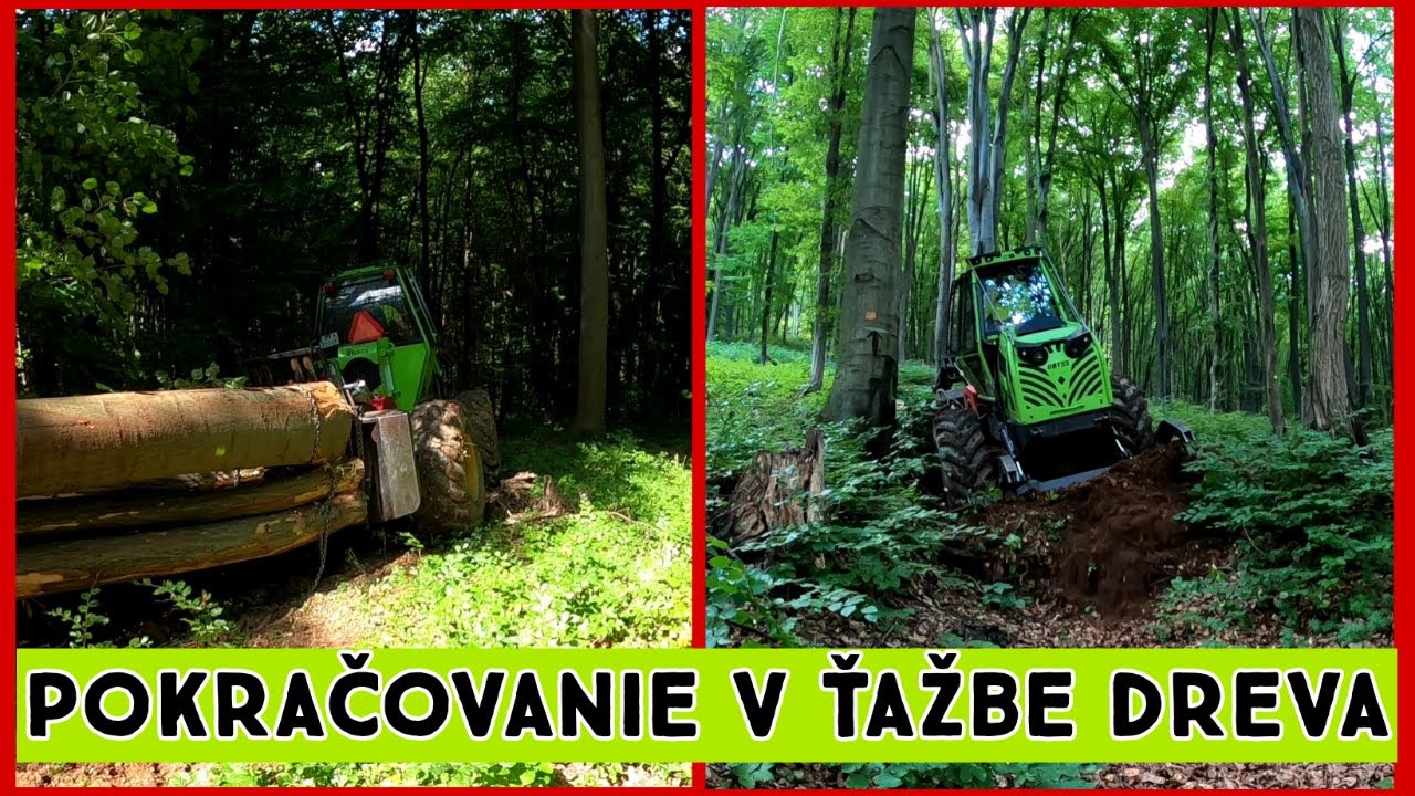 Ťažba dreva s Orvex LT 100,Zetor Proxima, Working in forest 🇸🇰