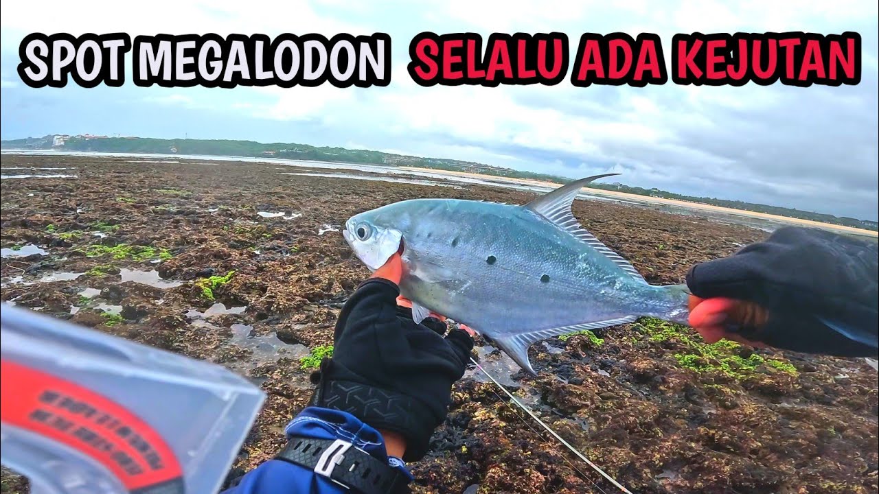 ‼️SPOT MEGALODON YANG SELALU ADA KEJUTAN‼️MANCING PINGGIRAN BALI