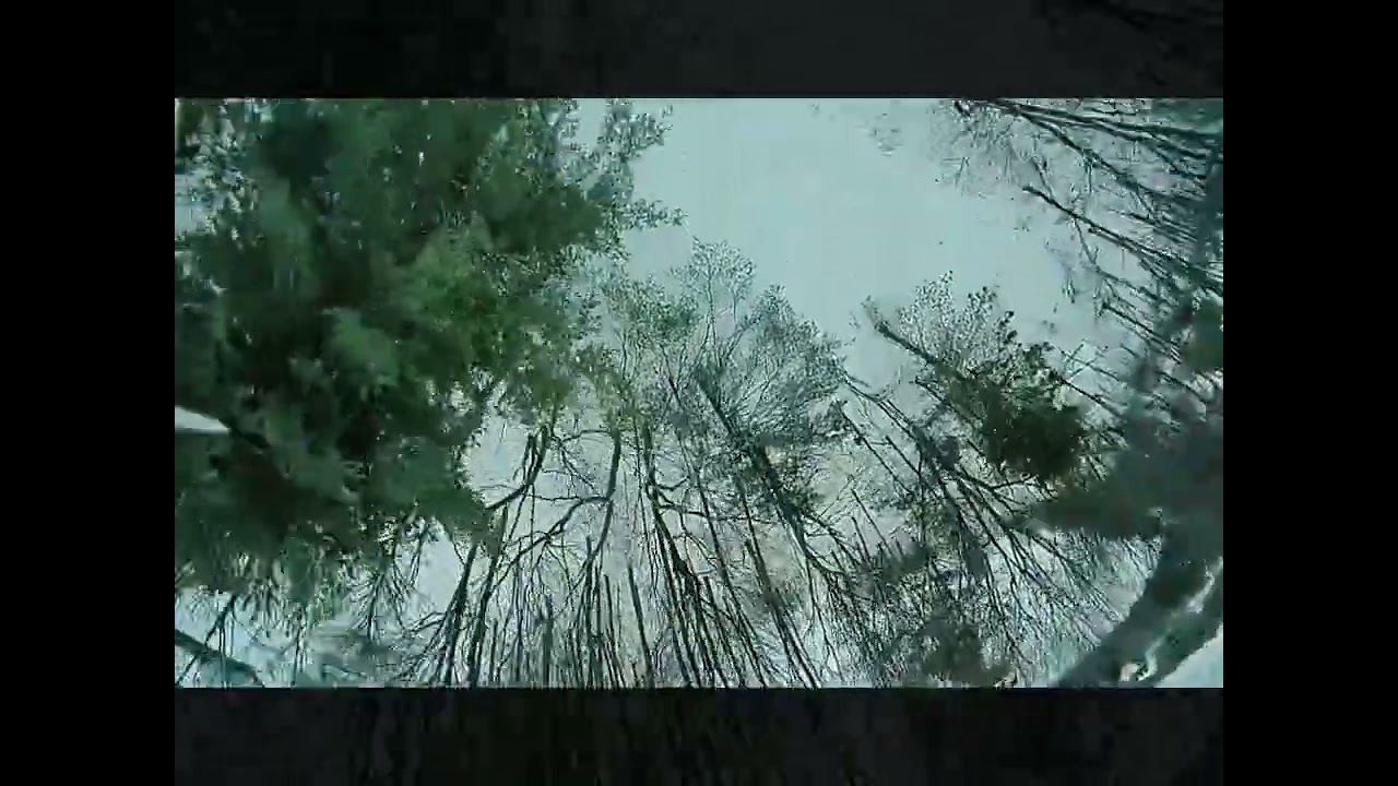 Runcam Wasp DVR