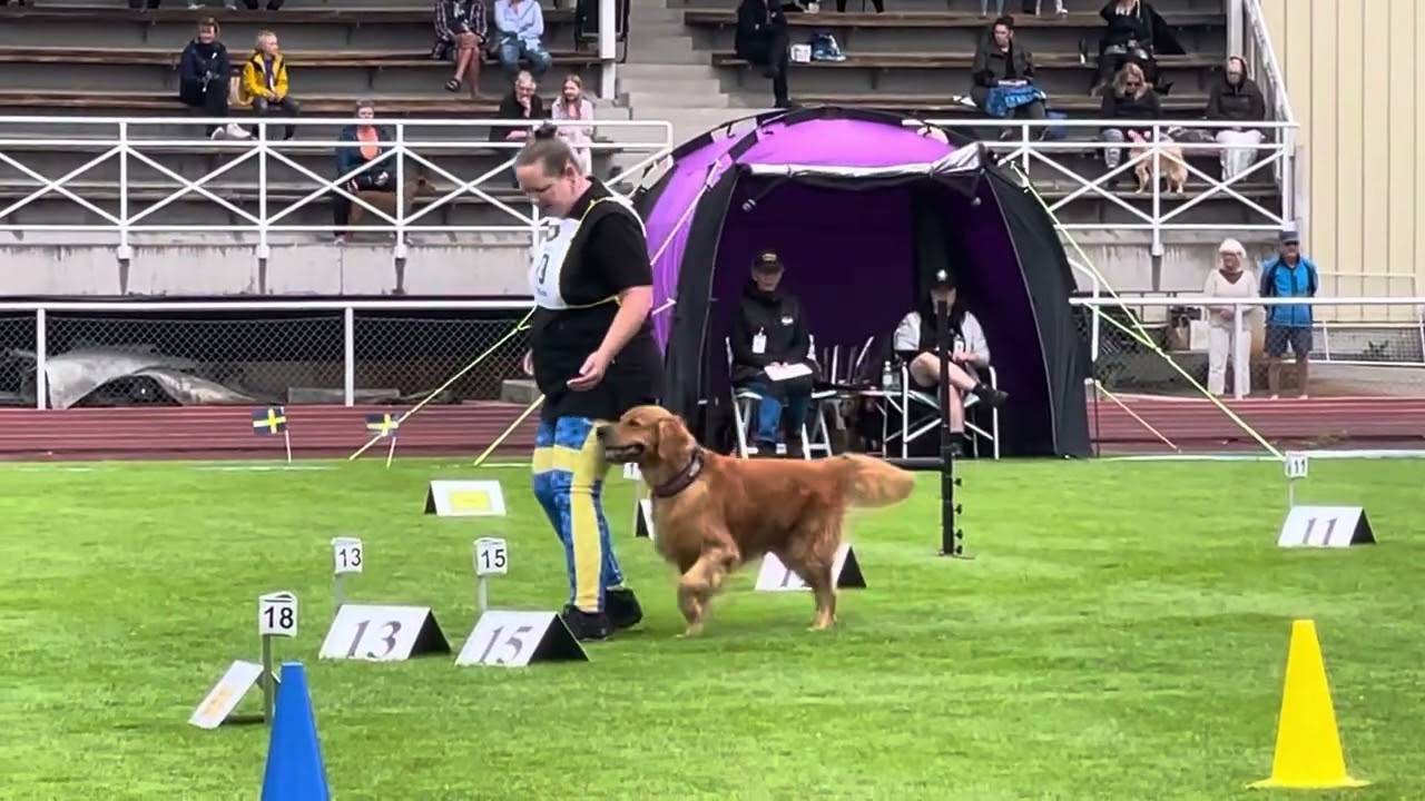 SM Rallylydnad 2024, FINAL