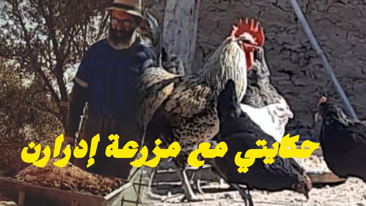 قصتي مع مزرعة إدرارن 