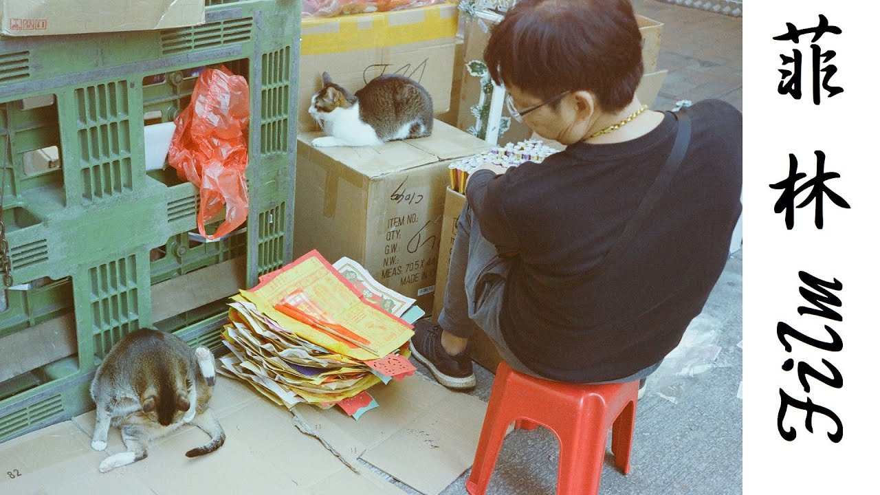 #159 Kodak Max 400 (Expired)