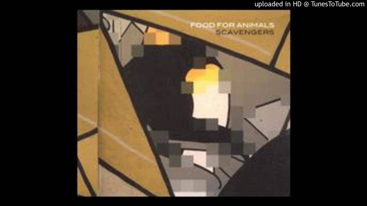 Food For Animals - Scavengers