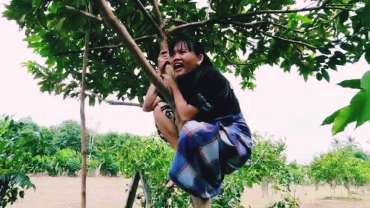 Ibungan Kembuay || 