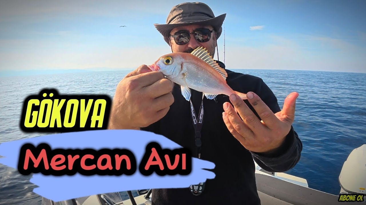 Gökova körfezinde tekneden mercan avı yaptık.  #balık #gökova #fishing 