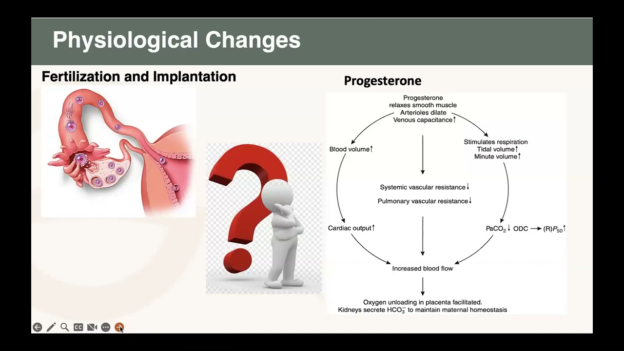 Part 3: Principles of Anesthesia for Cesarean Section