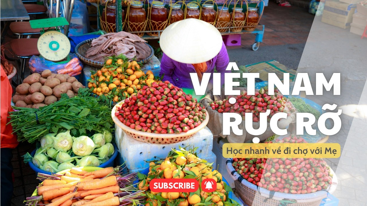 Du học xa nhà nhớ Việt Nam | Sống Rực Rỡ | Nhạc không lời | Vietnam Relaxing Music (eating, studing)
