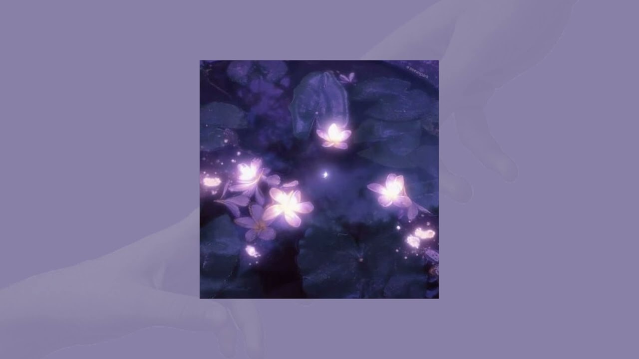 midnight//finally gone