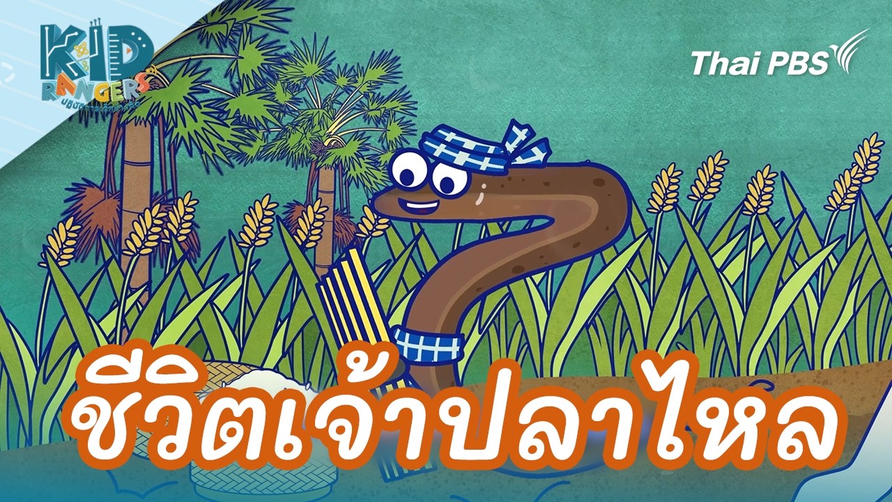 ชีวิตเจ้าปลาไหล | Kid Rangers ปฏิบัติการเด็กช่างคิด