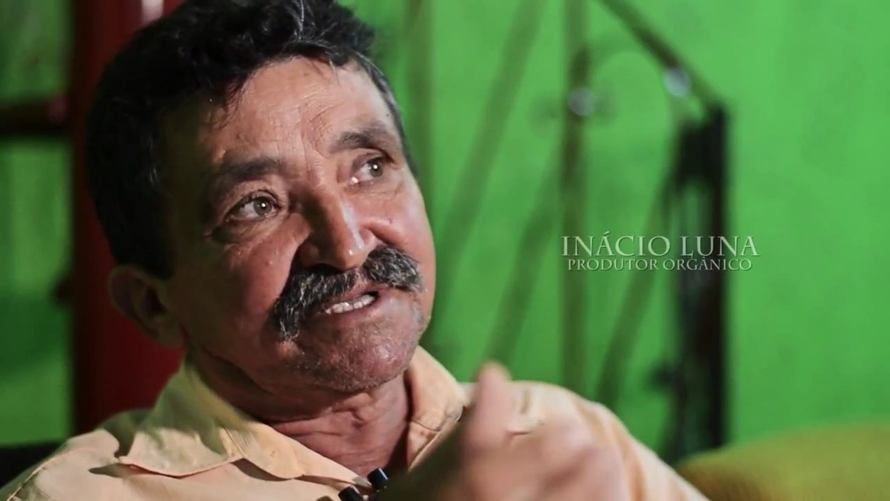 HORTALI&Ccedil;AS SEMPRE VERDE - uma hist&oacute;ria de AMOR a TERRA