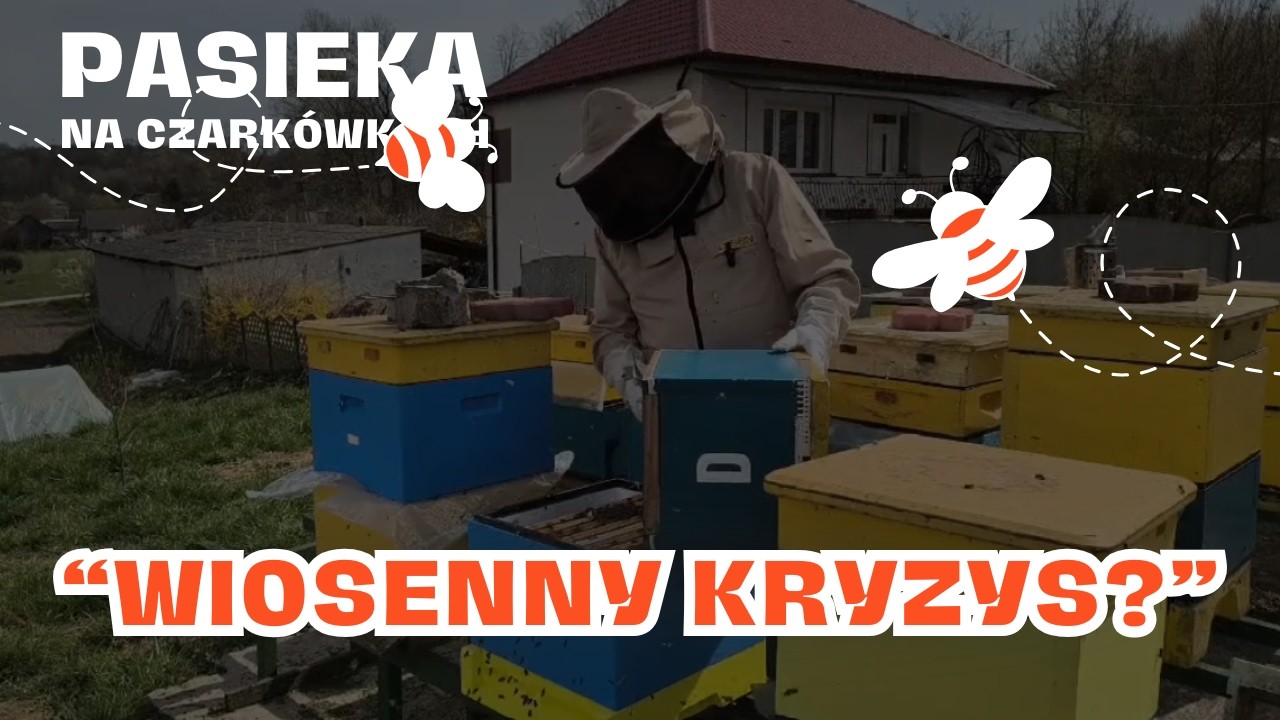 👉 Mały kryzys w pasiece 🐝 Czy pszczoły sobie poradzą? | Pasieka na Czark&oacute;wkach