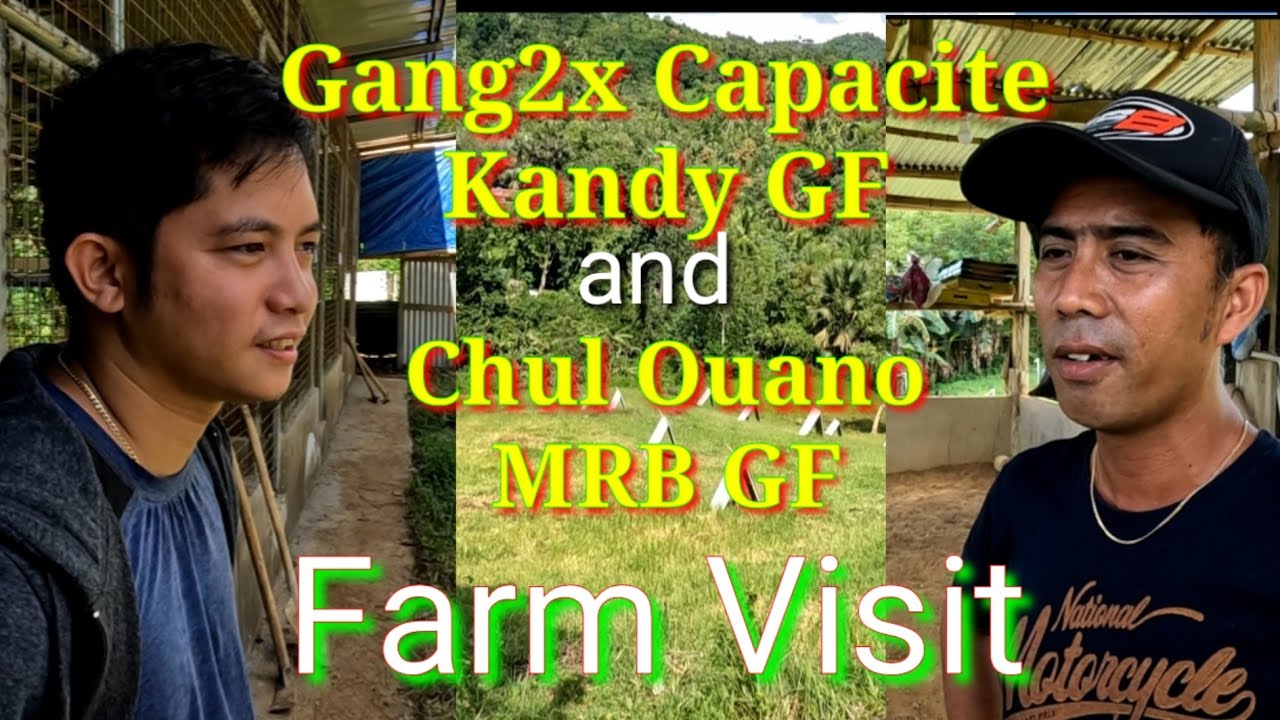 EP435: kunting silip sa new Kandy GF at derecho kay Chul Ouano