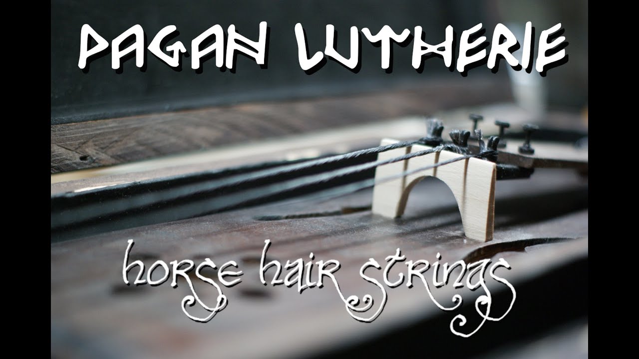 20 minutes in the workshop - horse hair strings