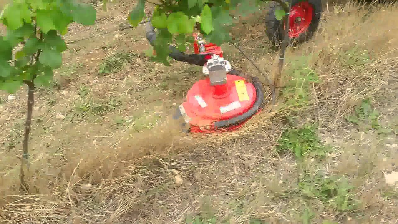 Inter vine mower.  Boisselet.  www.vitifruitequipment.co.uk