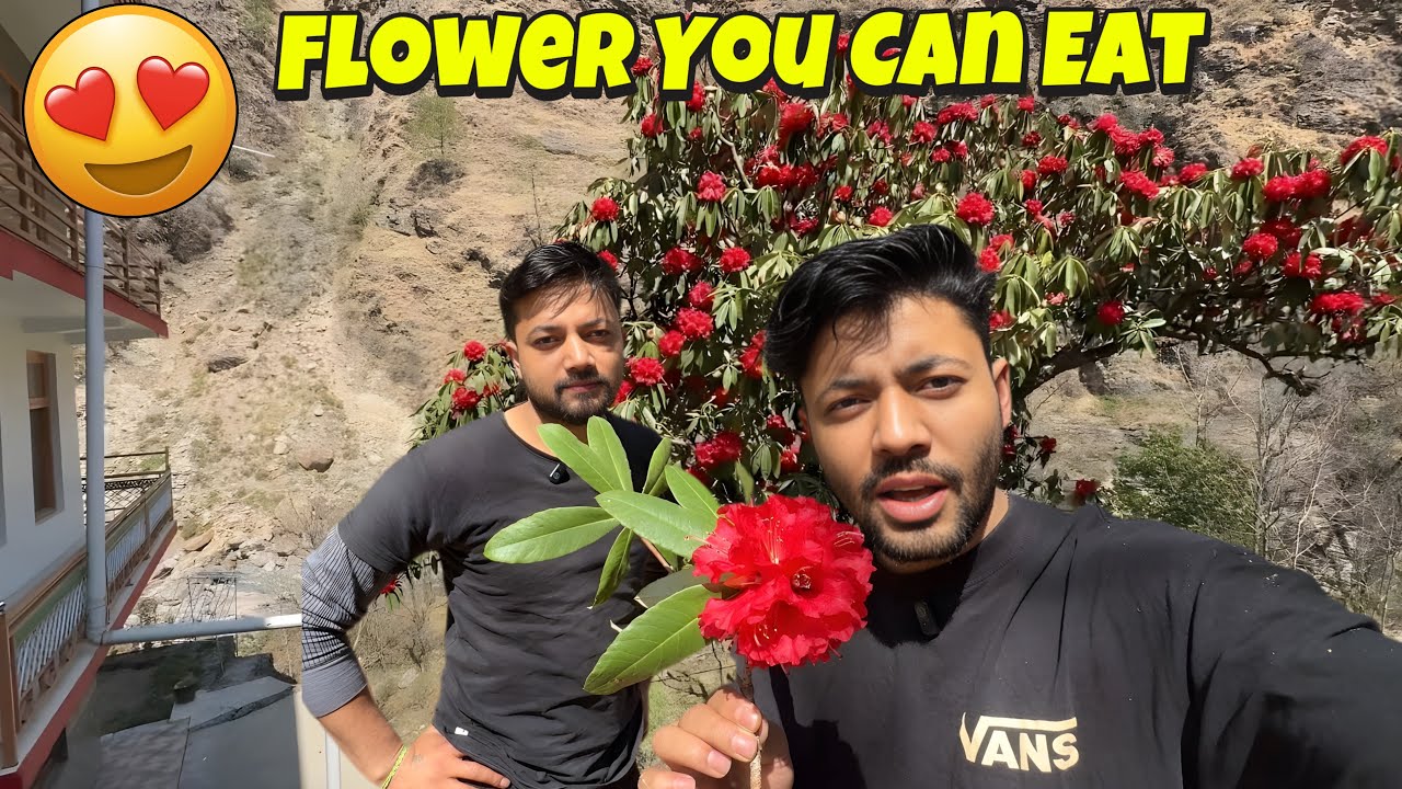Ye Phool Bohot Tasty Hota Hai😋😍 || Sanjay Chauhan