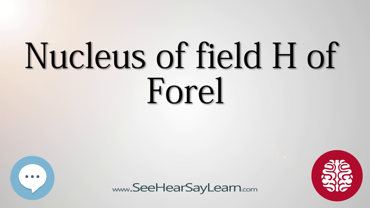 Nucleus of field H of Forel   Anatomy of the Brain   SeeHearSayLearn 🔊