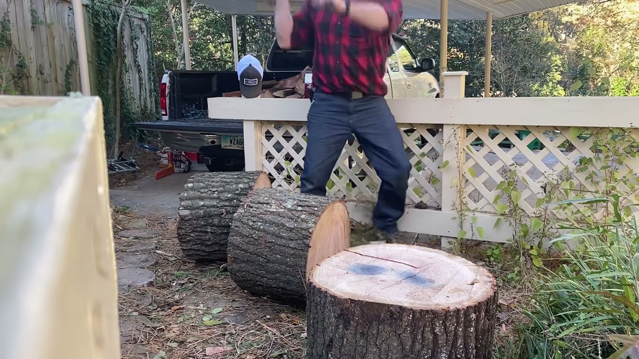 Free firewood and splitting big oak rounds