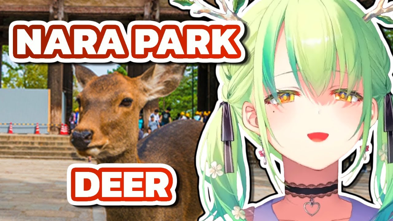 Fauna Has Mixed Feelings About The Nara Park Deer
