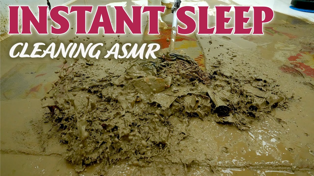 Carpet Cleaning for Sleeping – Soft Scrubbing ASMR Sounds for Deep, Restful Sleep