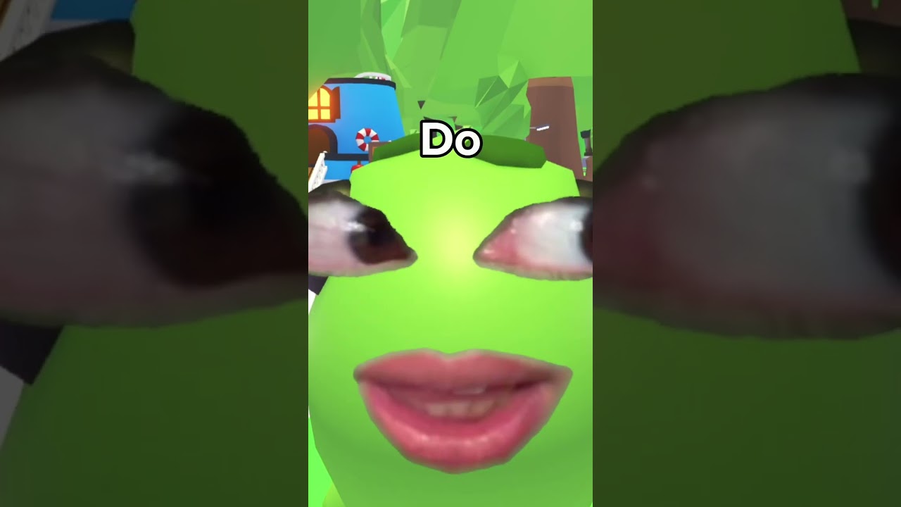 POV: You Give Your PET a 