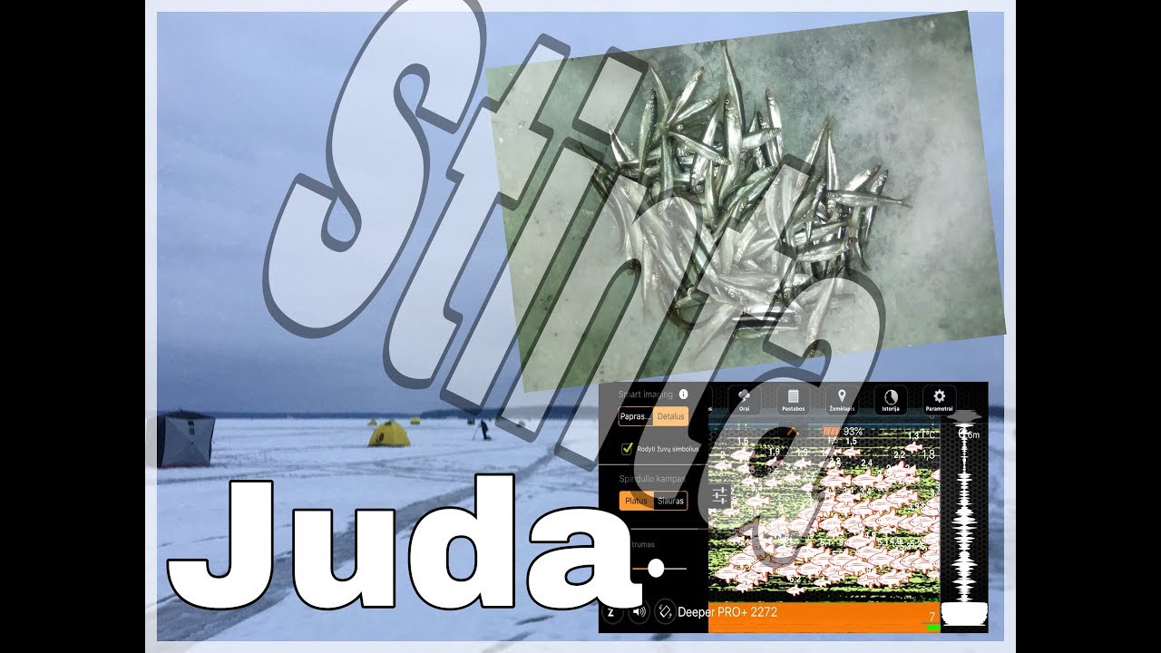 Stintos,Jurmala,LV  2019m Nr 5 04022019